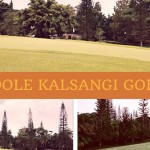 Dole-Kalsangi高尔夫俱乐部